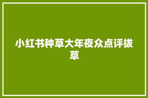 小红书种草大年夜众点评拔草