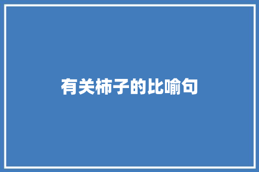 有关柿子的比喻句