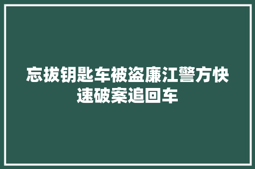 忘拔钥匙车被盗廉江警方快速破案追回车