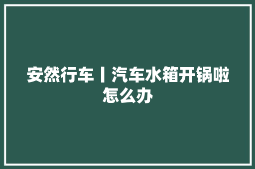 安然行车丨汽车水箱开锅啦怎么办