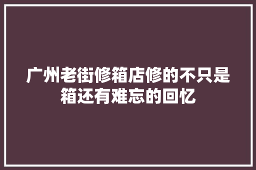 广州老街修箱店修的不只是箱还有难忘的回忆 汽车知识