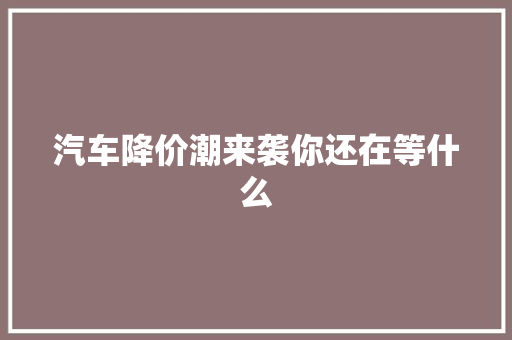 汽车降价潮来袭你还在等什么
