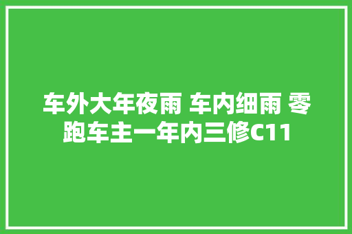车外大年夜雨 车内细雨 零跑车主一年内三修C11