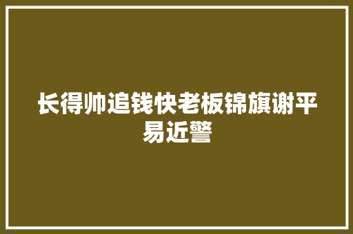 长得帅追钱快老板锦旗谢平易近警