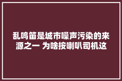 乱鸣笛是城市噪声污染的来源之一 为啥按喇叭司机这样说