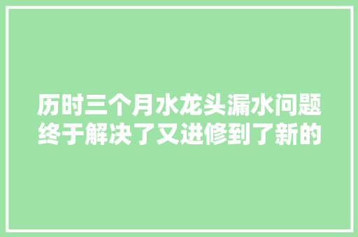 历时三个月水龙头漏水问题终于解决了又进修到了新的技能 汽车知识