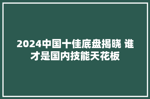 2024中国十佳底盘揭晓 谁才是国内技能天花板