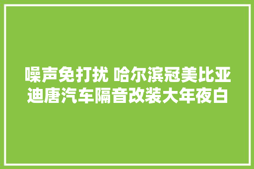 噪声免打扰 哈尔滨冠美比亚迪唐汽车隔音改装大年夜白鲨