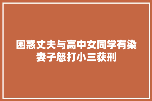 困惑丈夫与高中女同学有染妻子怒打小三获刑
