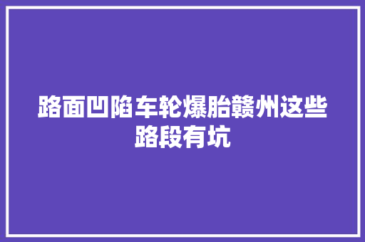 路面凹陷车轮爆胎赣州这些路段有坑