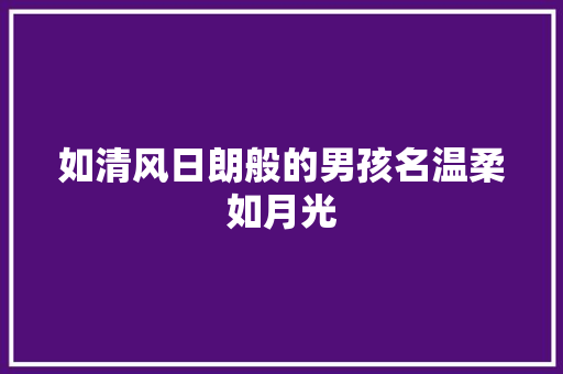 如清风日朗般的男孩名温柔如月光