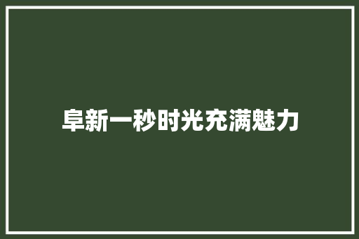 阜新一秒时光充满魅力