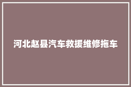 河北赵县汽车救援维修拖车 汽车知识