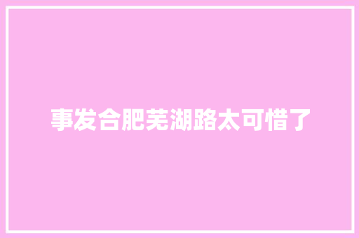 事发合肥芜湖路太可惜了