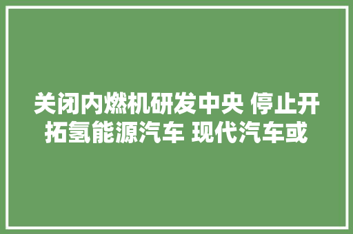 关闭内燃机研发中央 停止开拓氢能源汽车 现代汽车或进行大年夜规模调解