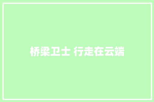 桥梁卫士 行走在云端