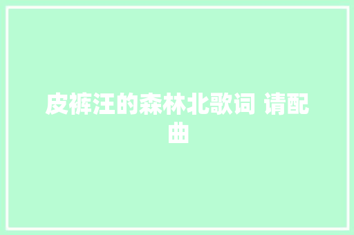 皮裤汪的森林北歌词 请配曲