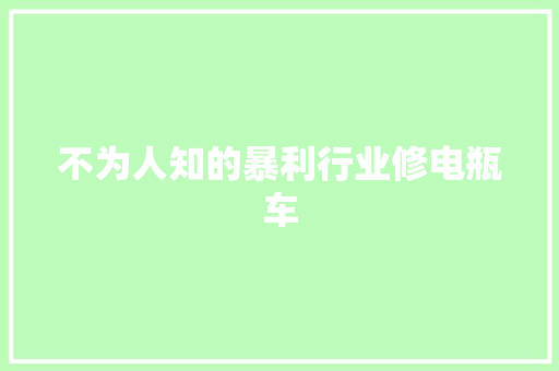 不为人知的暴利行业修电瓶车