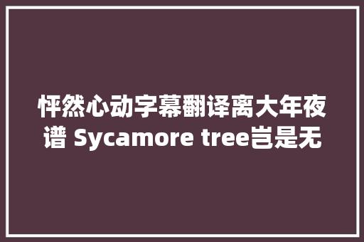 怦然心动字幕翻译离大年夜谱 Sycamore tree岂是无花果树