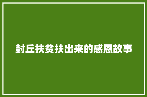封丘扶贫扶出来的感恩故事