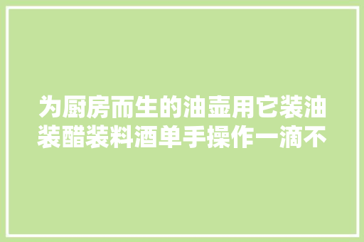 为厨房而生的油壶用它装油装醋装料酒单手操作一滴不漏