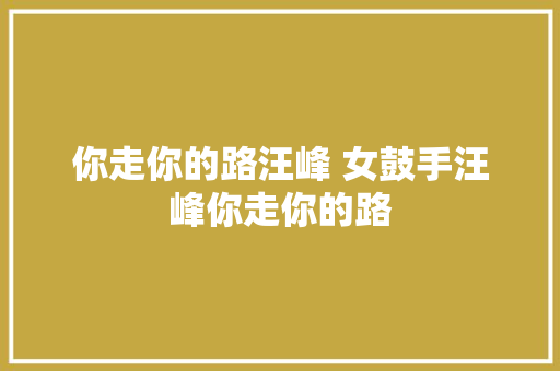 你走你的路汪峰 女鼓手汪峰你走你的路