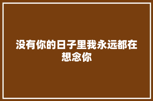 没有你的日子里我永远都在想念你