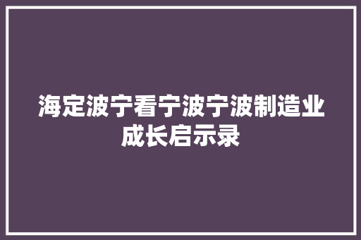 海定波宁看宁波宁波制造业成长启示录