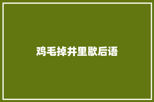鸡毛掉井里歇后语