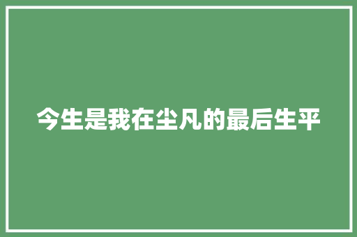 今生是我在尘凡的最后生平