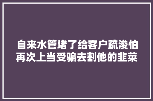 自来水管堵了给客户疏浚怕再次上当受骗去割他的韭菜