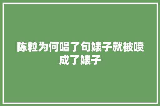 陈粒为何唱了句婊子就被喷成了婊子