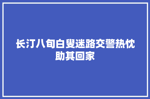 长汀八旬白叟迷路交警热忱助其回家