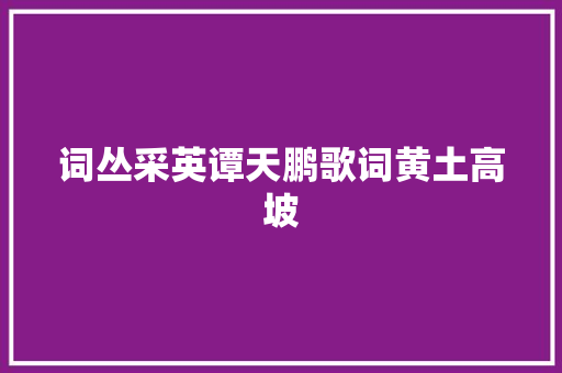 词丛采英谭天鹏歌词黄土高坡