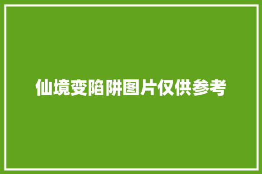 仙境变陷阱图片仅供参考