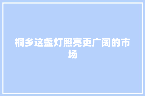 桐乡这盏灯照亮更广阔的市场 汽车知识