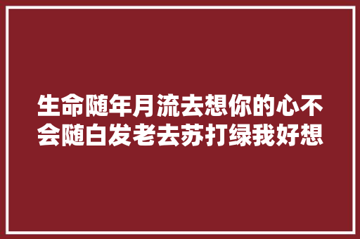 生命随年月流去想你的心不会随白发老去苏打绿我好想你