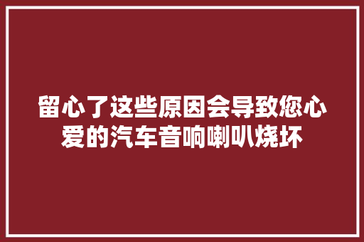 留心了这些原因会导致您心爱的汽车音响喇叭烧坏