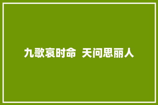 九歌哀时命  天问思丽人
