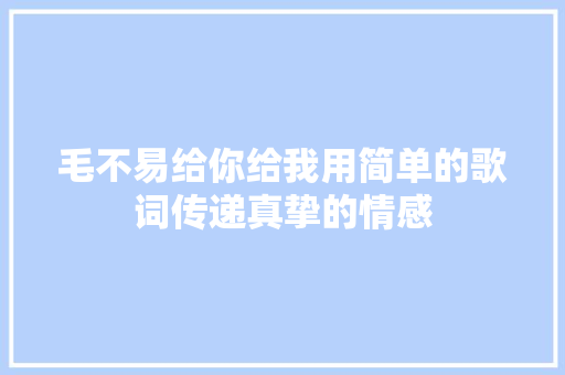 毛不易给你给我用简单的歌词传递真挚的情感