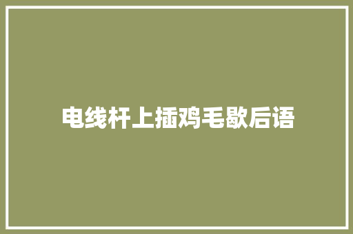电线杆上插鸡毛歇后语