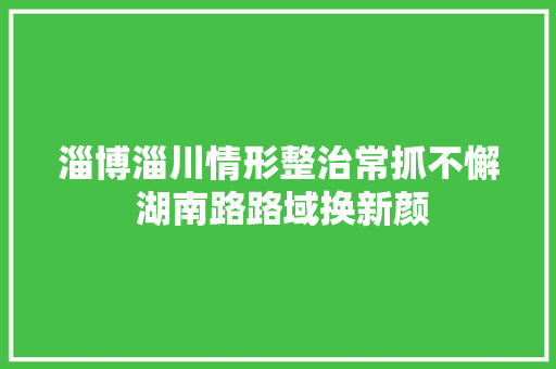 淄博淄川情形整治常抓不懈 湖南路路域换新颜