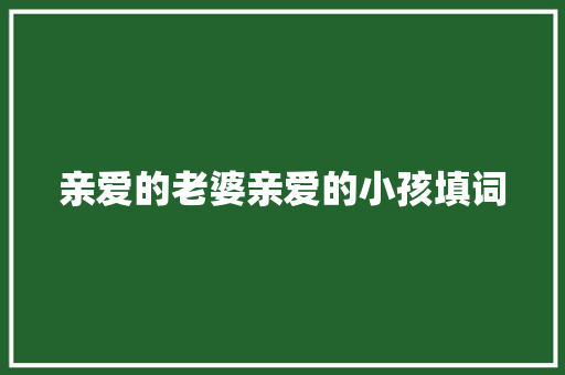 亲爱的老婆亲爱的小孩填词