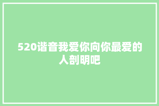 520谐音我爱你向你最爱的人剖明吧