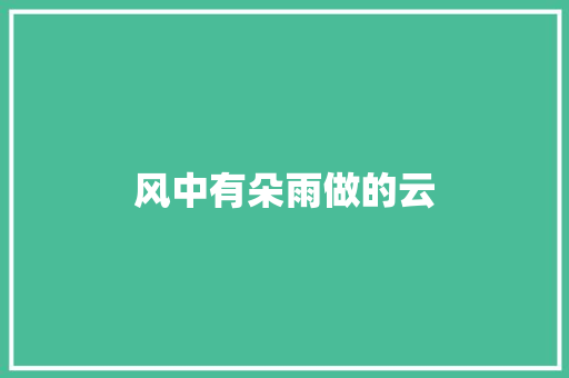 风中有朵雨做的云