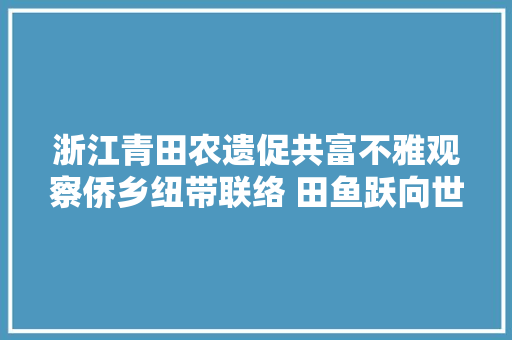 浙江青田农遗促共富不雅观察侨乡纽带联络 田鱼跃向世界