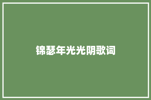 锦瑟年光光阴歌词