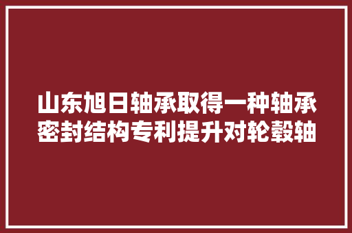 山东旭日轴承取得一种轴承密封结构专利提升对轮毂轴承的密封机能