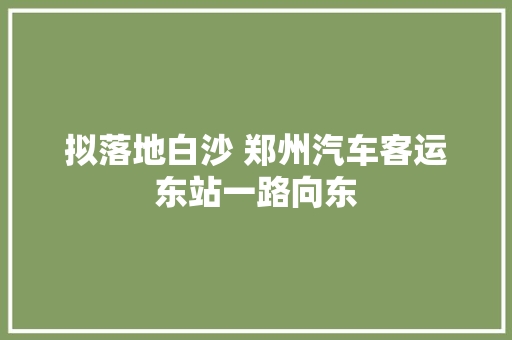 拟落地白沙 郑州汽车客运东站一路向东