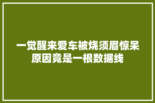 一觉醒来爱车被烧须眉惊呆原因竟是一根数据线